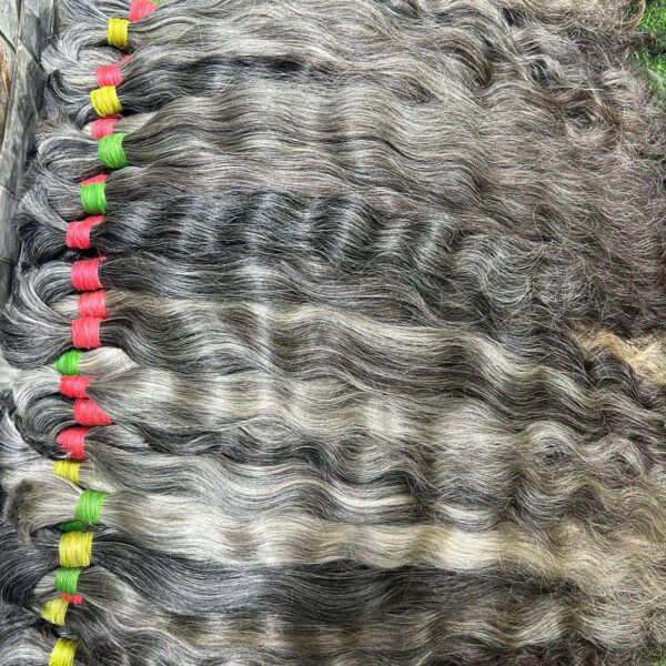 INDIAN RAW Gray Hair – Premium Human Hair Wholesale Supplier